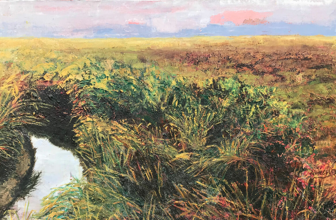 Marisma con Marea Alta