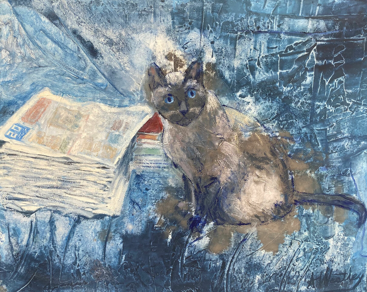 Gato siamés con la prensa