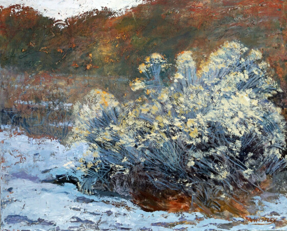 Spring Thaw (Santa Fe, Nuevo México, EEUU)